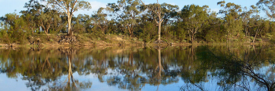 Mildura_MurrayRiver_P1020120_3.jpg