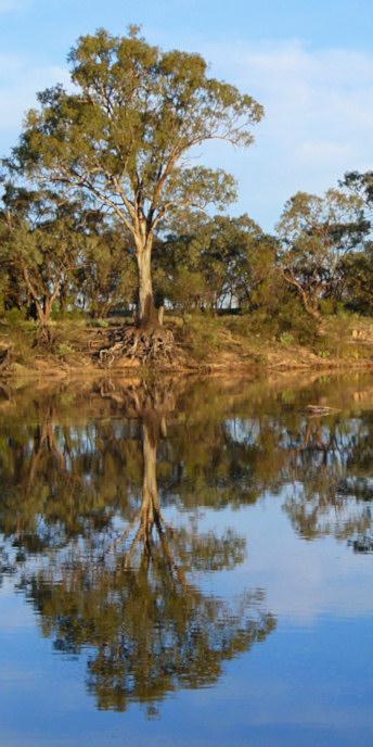 Mildura_MurrayRiver_P1020126_v.jpg