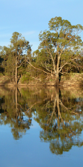 Mildura_MurrayRiver_P1020128_v.jpg