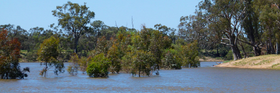 Mildura_MurrayRiver_P1020212_3.jpg