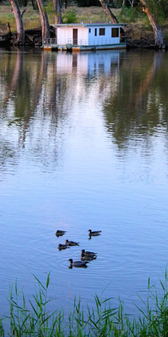 Mildura_MurrayRiver_P1020289_v.jpg