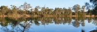 Mildura_MurrayRiver_P1020118_3