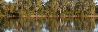 Mildura_MurrayRiver_P1020119_3