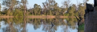 Mildura_MurrayRiver_P1020123_3