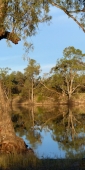 Mildura_MurrayRiver_P1020131_v