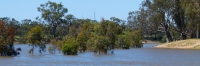 Mildura_MurrayRiver_P1020212_3